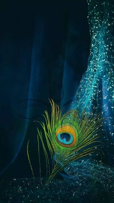 3d mor pankh wallpaper