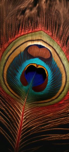 3d mor pankh wallpaper