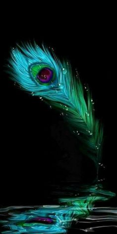 3d mor pankh wallpaper