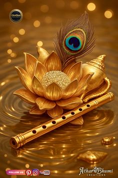 3d mor pankh wallpaper