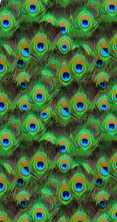 3d mor pankh wallpaper