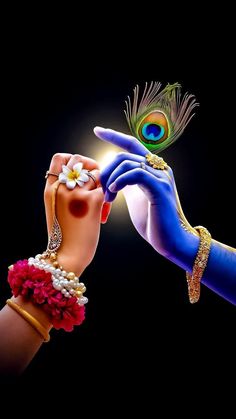 mor pankh wallpaper hd 1080p