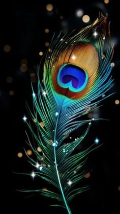 mor pankh wallpaper hd 1080p