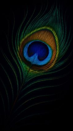 mor pankh wallpaper hd 1080p