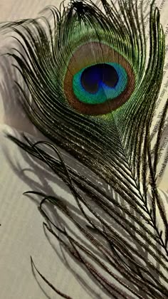 mor pankh wallpaper hd 1080p