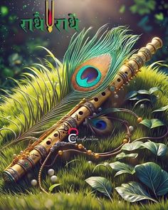 mor pankh wallpaper hd 1080p