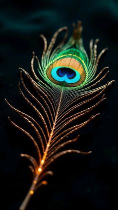 mor pankh wallpaper hd 1080p