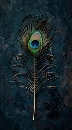 mor pankh wallpaper hd 1080p