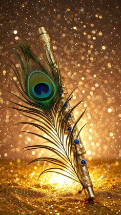 mor pankh wallpaper hd 1080p