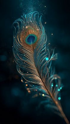 mor pankh wallpaper hd 1080p