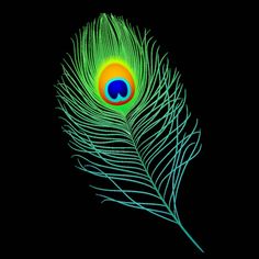 mor pankh wallpaper hd 1080p