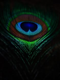 mor pankh wallpaper hd 1080p