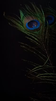 mor pankh wallpaper hd 1080p