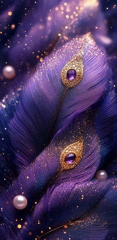 mor pankh wallpaper hd 4k